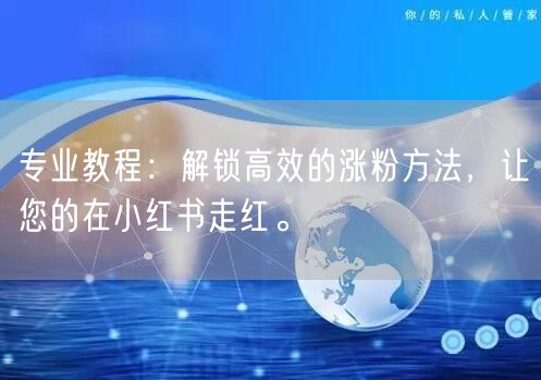 专业教程：解锁高效的涨粉方法，让您的在小红书走红。