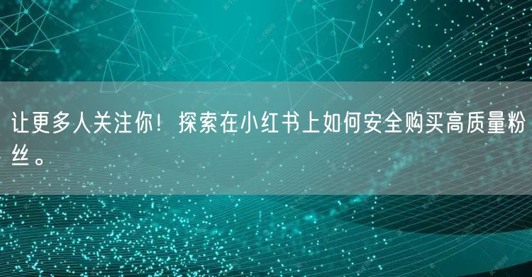 让更多人关注你！探索在小红书上如何安全购买高质量粉丝。